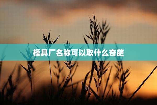 模具厂名称可以取什么奇葩