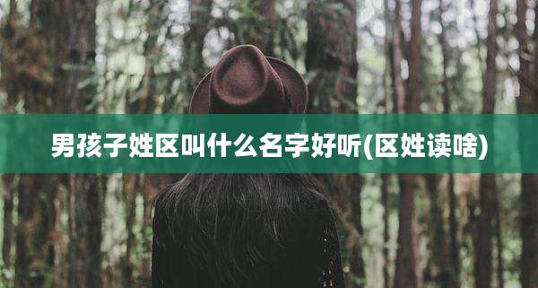 男孩子姓区叫什么名字好听(区姓读啥)