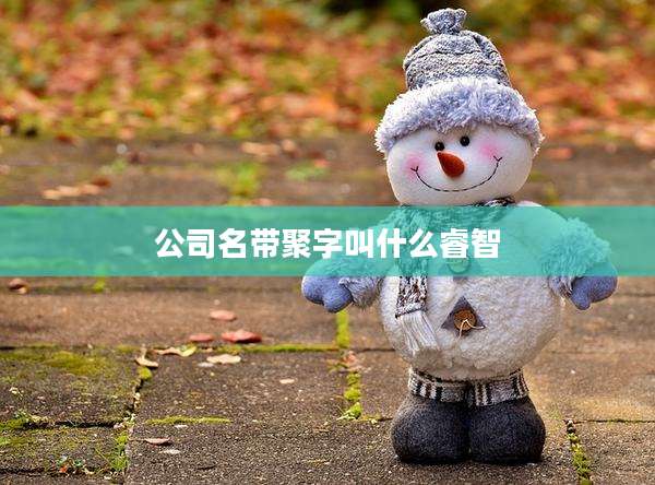 公司名带聚字叫什么睿智
