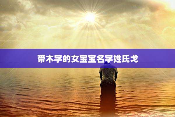 带木字的女宝宝名字姓氏戈