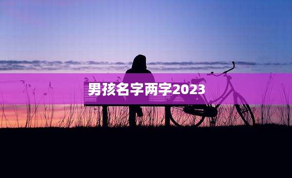 男孩名字两字2023