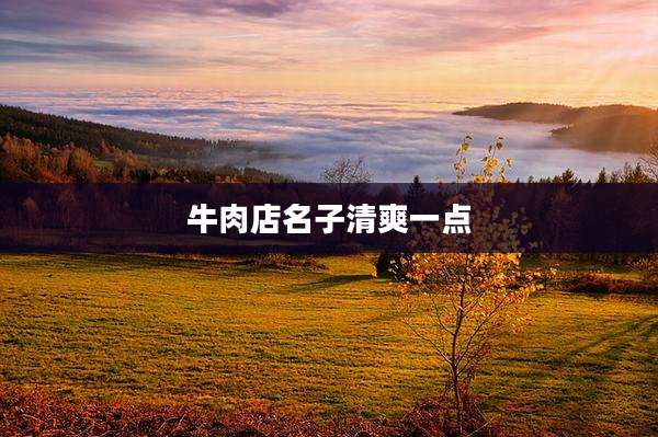 牛肉店名子清爽一点