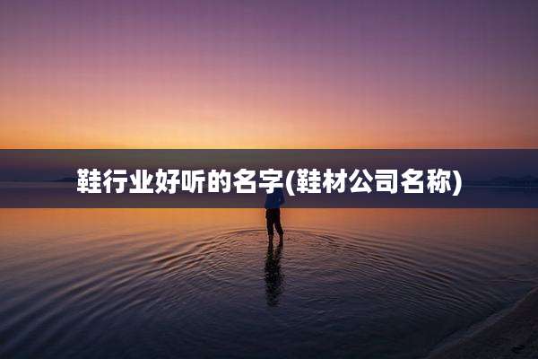 鞋行业好听的名字(鞋材公司名称)