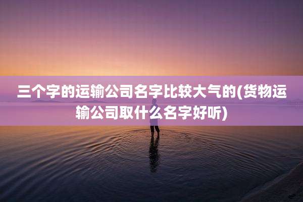 三个字的运输公司名字比较大气的(货物运输公司取什么名字好听)