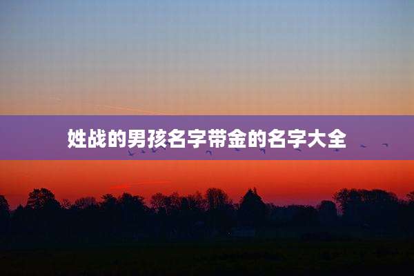 姓战的男孩名字带金的名字大全