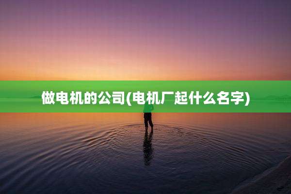 做电机的公司(电机厂起什么名字)