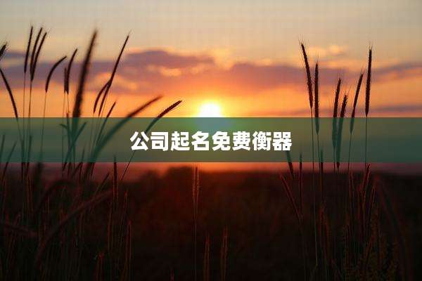 公司起名免费衡器