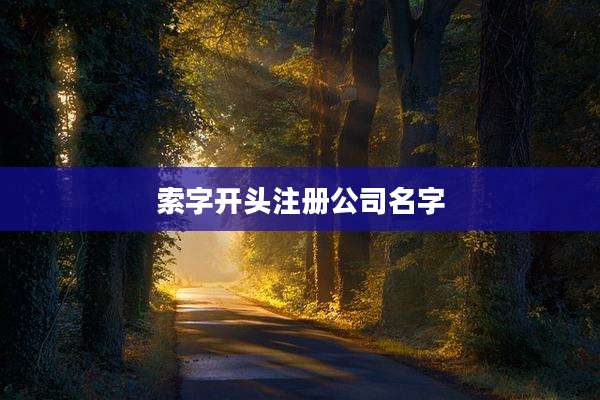 索字开头注册公司名字