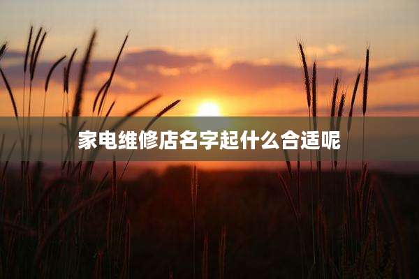 家电维修店名字起什么合适呢