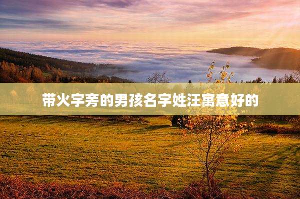 带火字旁的男孩名字姓汪寓意好的