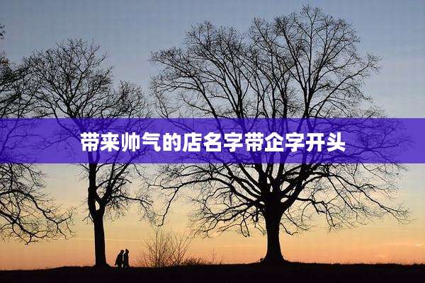 带来帅气的店名字带企字开头