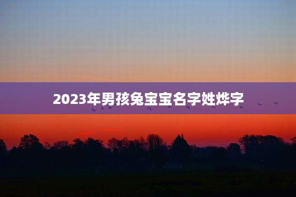 2023年男孩兔宝宝名字姓烨字