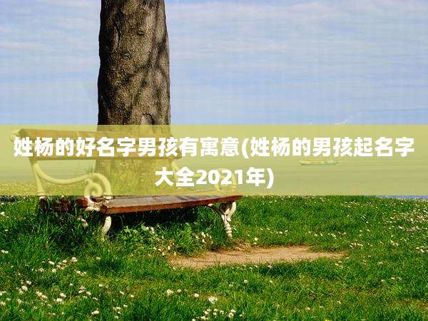 姓杨的好名字男孩有寓意(姓杨的男孩起名字大全2021年)