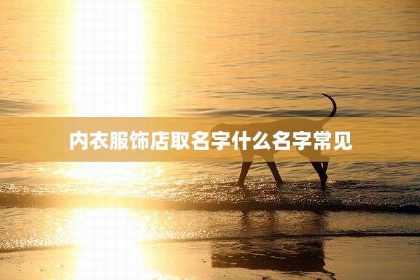 内衣服饰店取名字什么名字常见