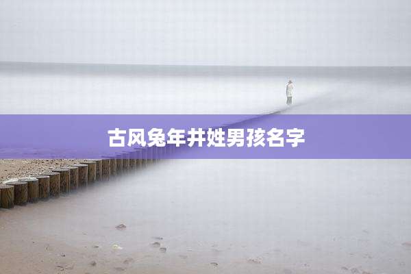 古风兔年井姓男孩名字