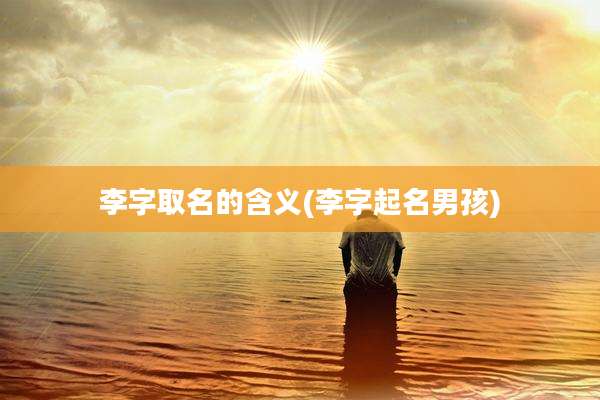 李字取名的含义(李字起名男孩)
