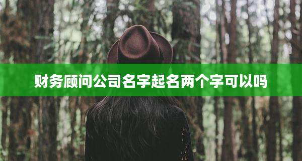 财务顾问公司名字起名两个字可以吗
