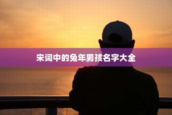 宋词中的兔年男孩名字大全