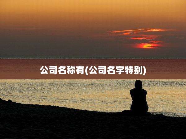 公司名称有(公司名字特别)