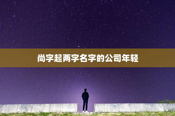 尚字起两字名字的公司年轻