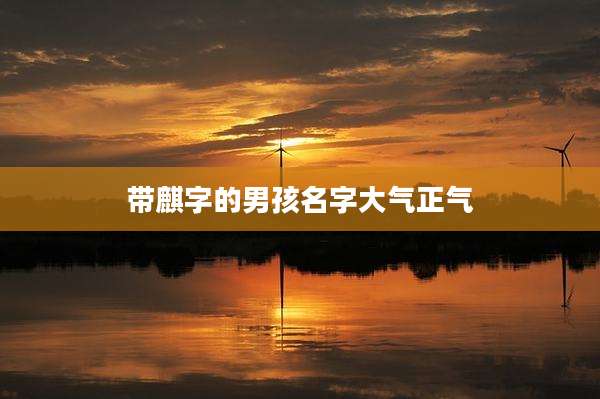 带麒字的男孩名字大气正气