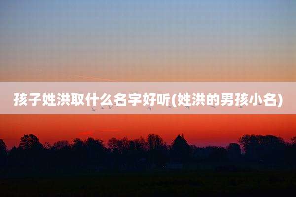 孩子姓洪取什么名字好听(姓洪的男孩小名)