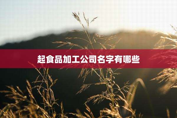 起食品加工公司名字有哪些