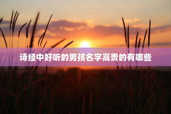 诗经中好听的男孩名字高贵的有哪些