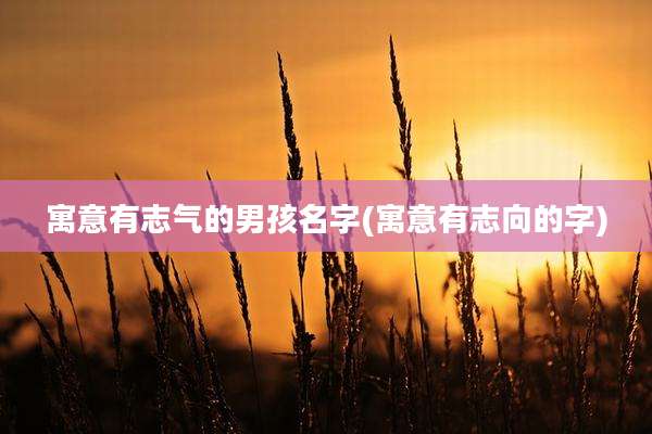 寓意有志气的男孩名字(寓意有志向的字)