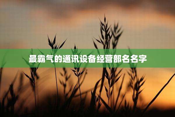 最霸气的通讯设备经营部名名字