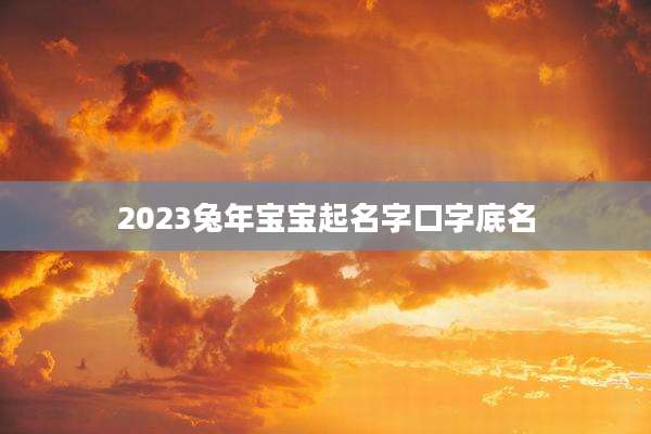 2023兔年宝宝起名字口字底名