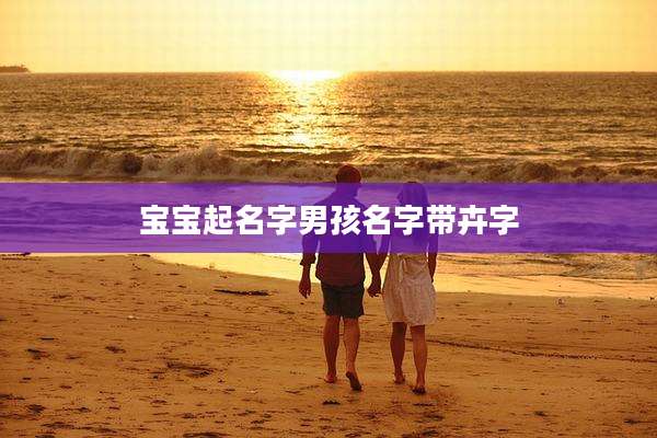 宝宝起名字男孩名字带卉字