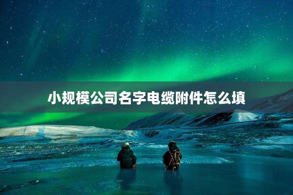 小规模公司名字电缆附件怎么填