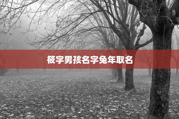 筱字男孩名字兔年取名