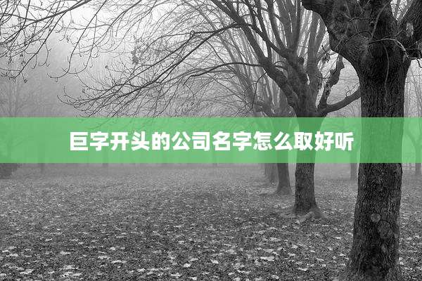 巨字开头的公司名字怎么取好听