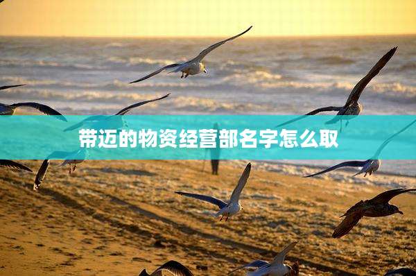 带迈的物资经营部名字怎么取