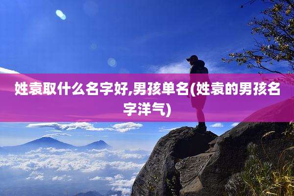 姓袁取什么名字好,男孩单名(姓袁的男孩名字洋气)