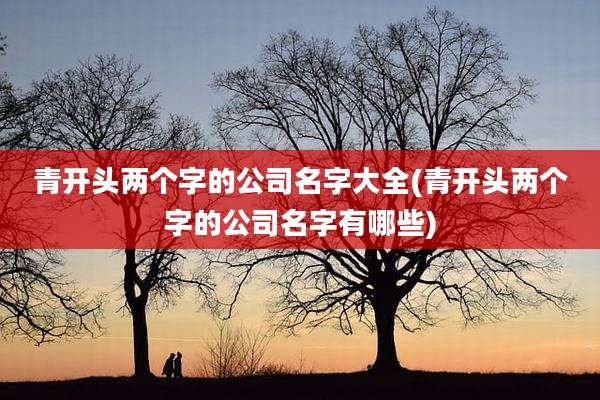 青开头两个字的公司名字大全(青开头两个字的公司名字有哪些)