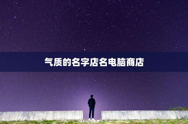 气质的名字店名电脑商店