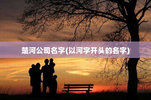 楚河公司名字(以河字开头的名字)
