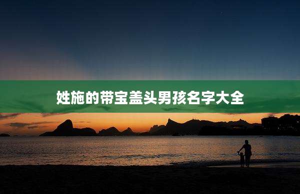 姓施的带宝盖头男孩名字大全