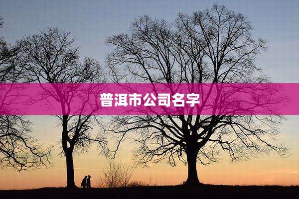 普洱市公司名字