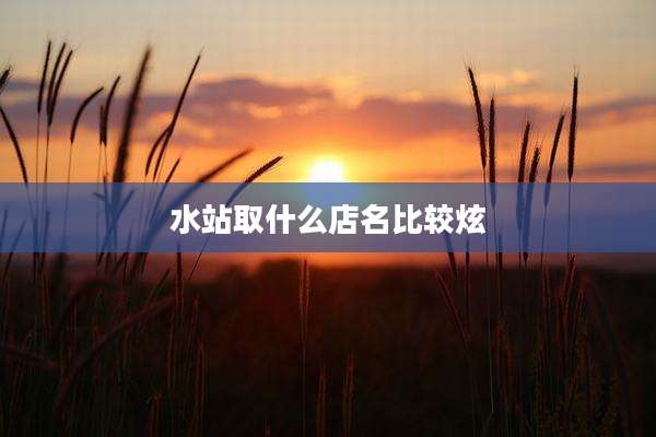 水站取什么店名比较炫