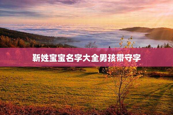 靳姓宝宝名字大全男孩带守字