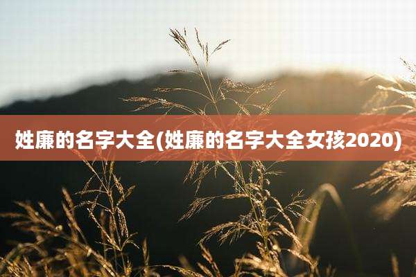 姓廉的名字大全(姓廉的名字大全女孩2020)
