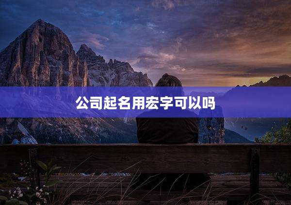 公司起名用宏字可以吗