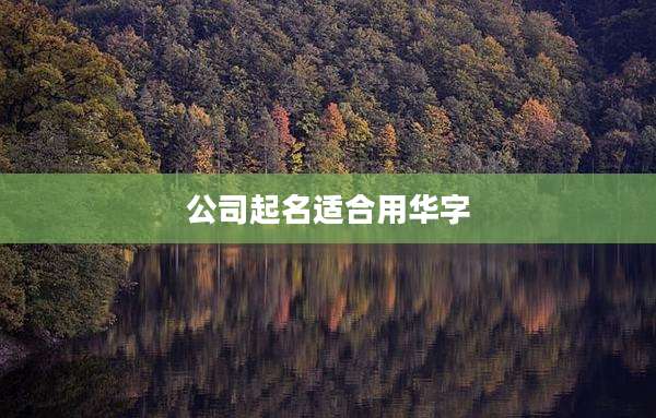 公司起名适合用华字