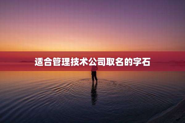 适合管理技术公司取名的字石
