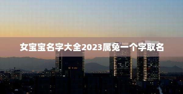 女宝宝名字大全2023属兔一个字取名