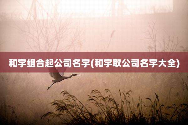 和字组合起公司名字(和字取公司名字大全)